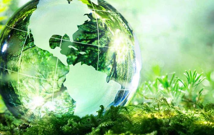 Sustainability Transparent Globe