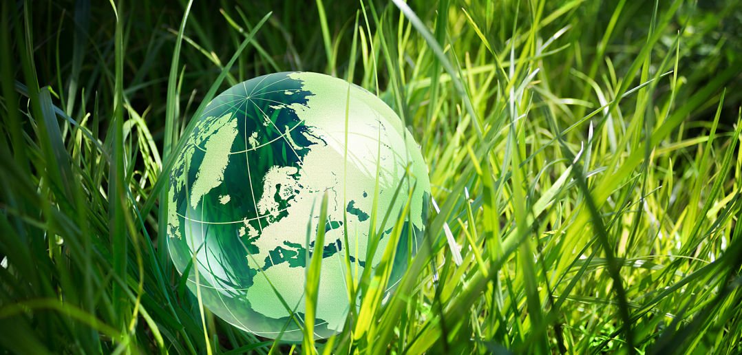 glass globe in the grass